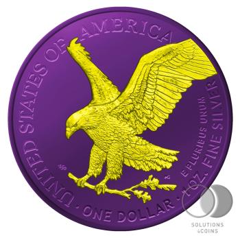American Eagle Violett Yellow